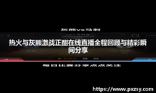 热火与灰熊激战正酣在线直播全程回顾与精彩瞬间分享