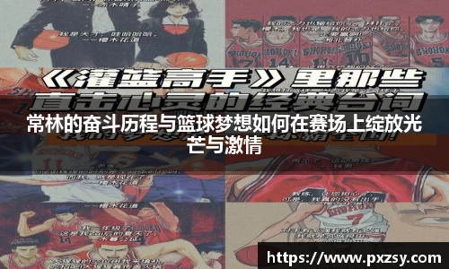 常林的奋斗历程与篮球梦想如何在赛场上绽放光芒与激情