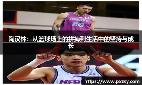 陶汉林：从篮球场上的拼搏到生活中的坚持与成长