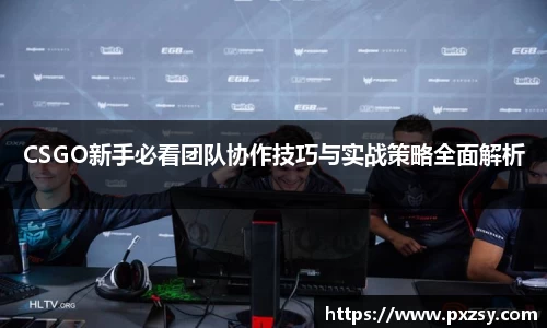 CSGO新手必看团队协作技巧与实战策略全面解析