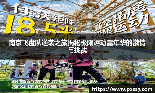 南京飞盘队逆袭之旅揭秘极限运动嘉年华的激情与挑战