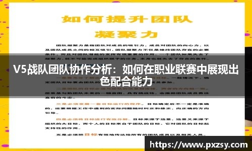 V5战队团队协作分析：如何在职业联赛中展现出色配合能力