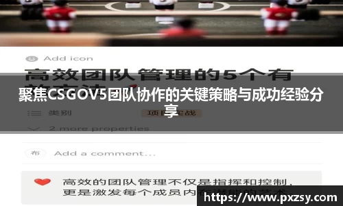 聚焦CSGOV5团队协作的关键策略与成功经验分享