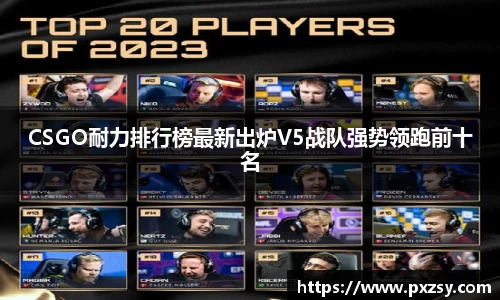 CSGO耐力排行榜最新出炉V5战队强势领跑前十名